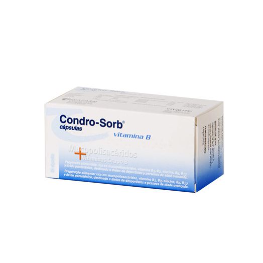Condrosorb 60 Capsulas